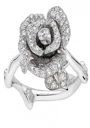 Dior rose bagatelle diamond ring in white gold